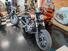 Harley-Davidson 1200 Custom (2007 - 13) - XL 1200C (9)