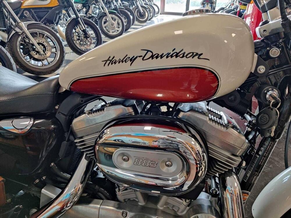 Harley-Davidson 883 Custom (2008 - 12) - XL 883C (5)