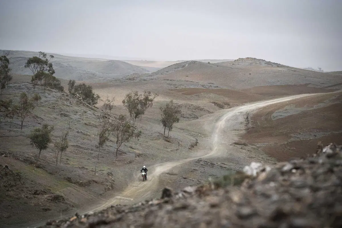 Ducati DesertX Rally TEST: 110 cavalli in fuoristrada sono troppi? Ecco la risposta (17)