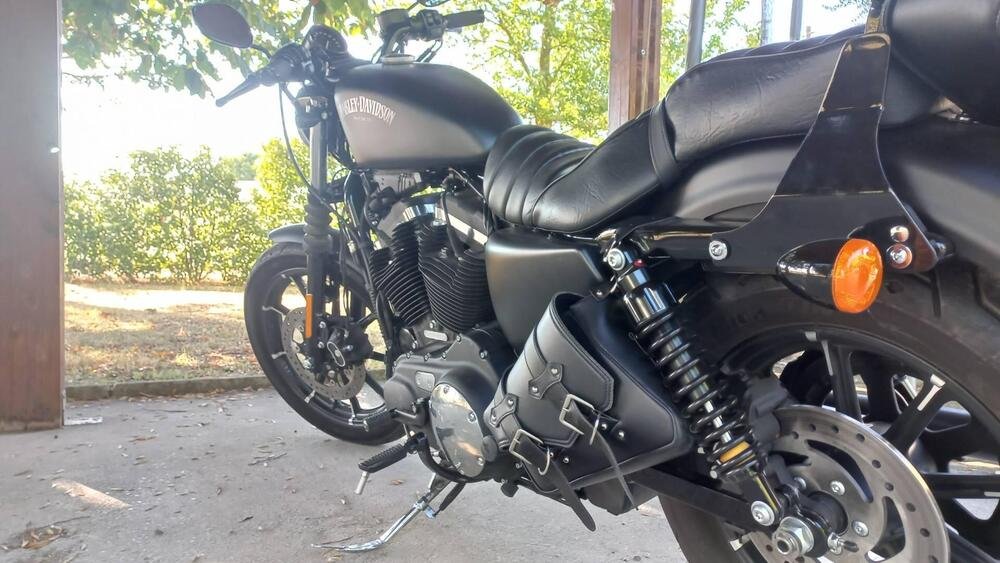 Harley-Davidson 883 Iron (2017 - 20) - XL 883N (4)