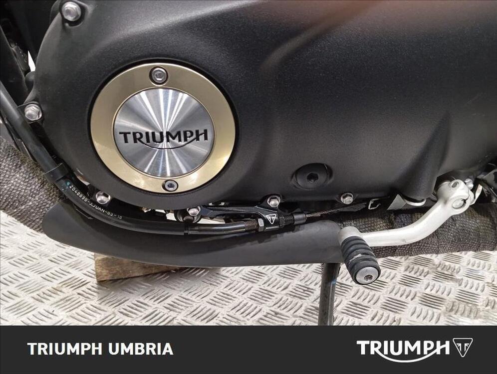 Triumph Street Cup 900 (2017 - 19) (5)