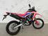 Honda CRF 300 Rally (2021 - 24) (14)