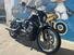 Harley-Davidson Nightster Special (2023 - 24) (6)