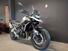 Triumph Tiger 900 GT Pro (2024) (6)