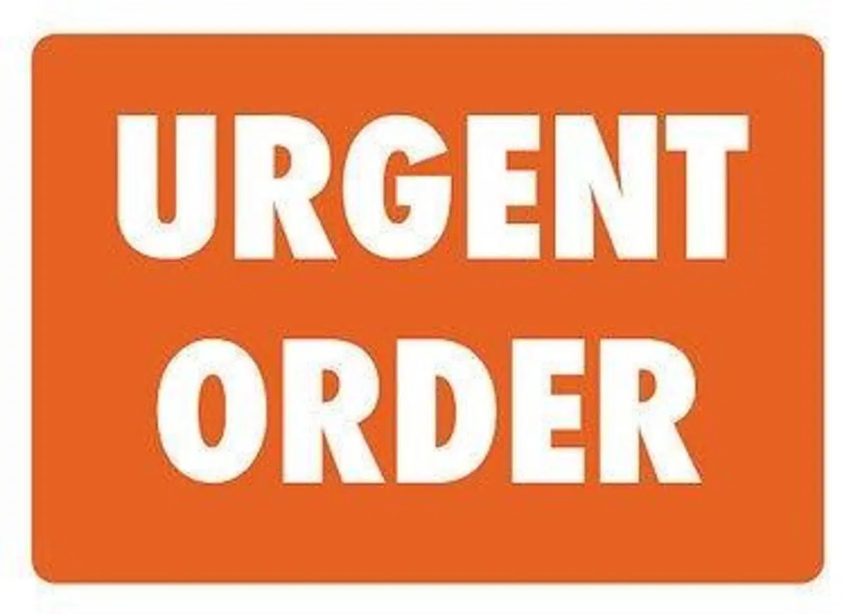 supplemento di 30 € per ordine urgente dall'estero 