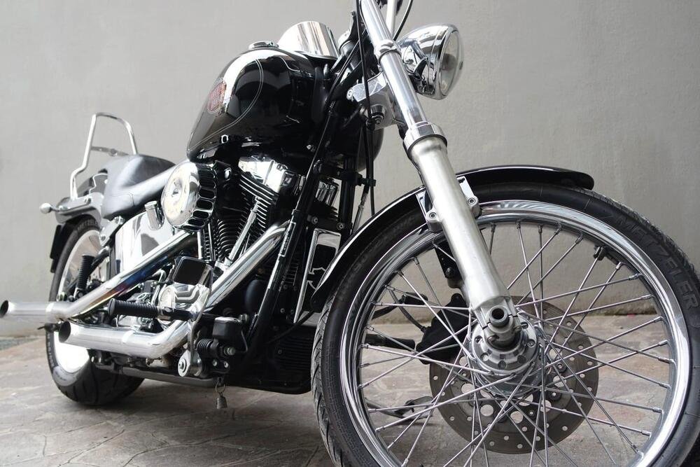 Harley-Davidson 1584 Custom (2008 - 09) - FXSTC (3)