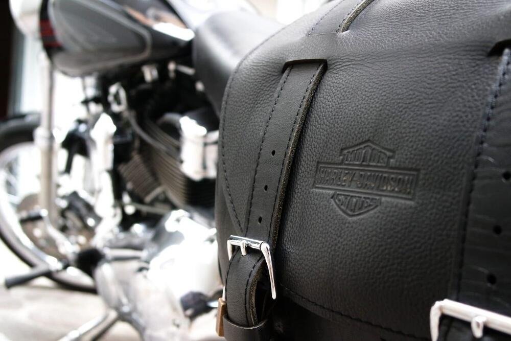 Harley-Davidson 1584 Custom (2008 - 09) - FXSTC (4)