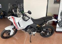 Ducati DesertX (2022 - 24) nuova