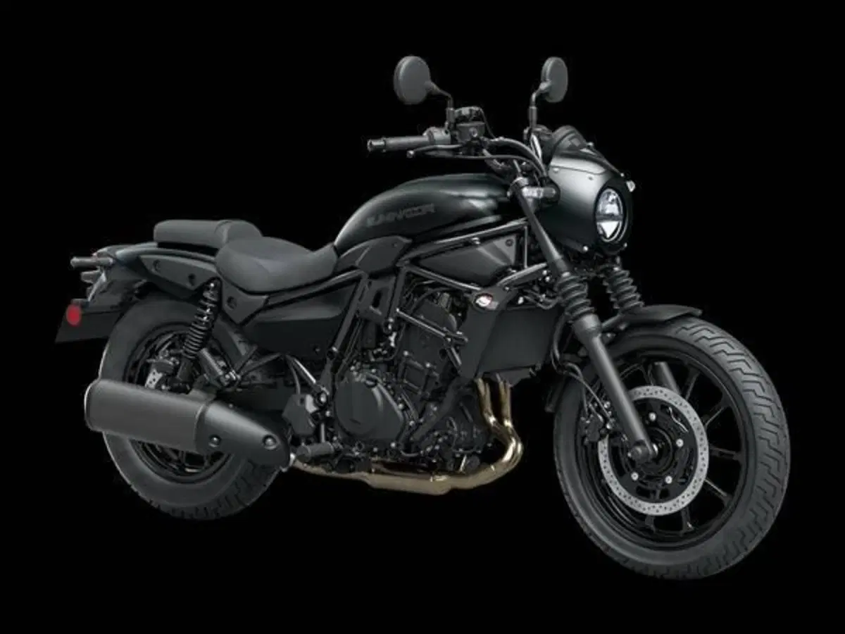 Kawasaki Eliminator 500 SE (2024 - 26)