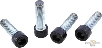 Kit viti pinza freno nere lucide per V-Rod dal 200 