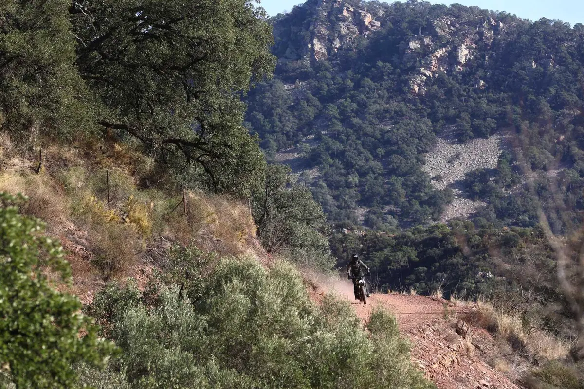 Triumph Scrambler 400 X TEST: come si guida su strada e in fuoristrada. Pro e contro! [VIDEO & GALLERY] (8)