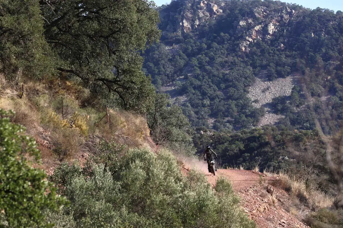 Triumph Scrambler 400 X TEST: come si guida su strada e in fuoristrada. Pro e contro! [VIDEO & GALLERY] (7)