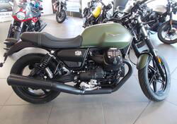 Moto Guzzi V7 Stone (2021 - 24) nuova