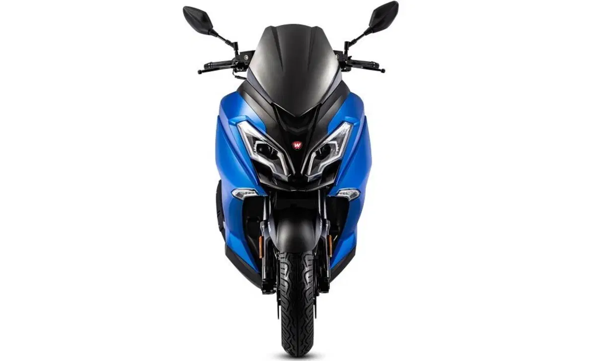 Wottan Motor Storm-S 300 Storm-S 300+ (2020 - 25) (2)