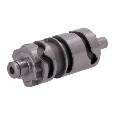 Camma selettore del cambio per Dyna dal 1998 al 20 