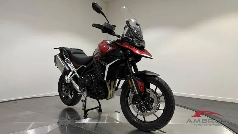 Triumph Tiger 900 GT Pro (2024 - 26) (3)