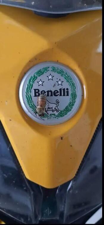 Benelli TRK 502X (2021 - 25) (3)