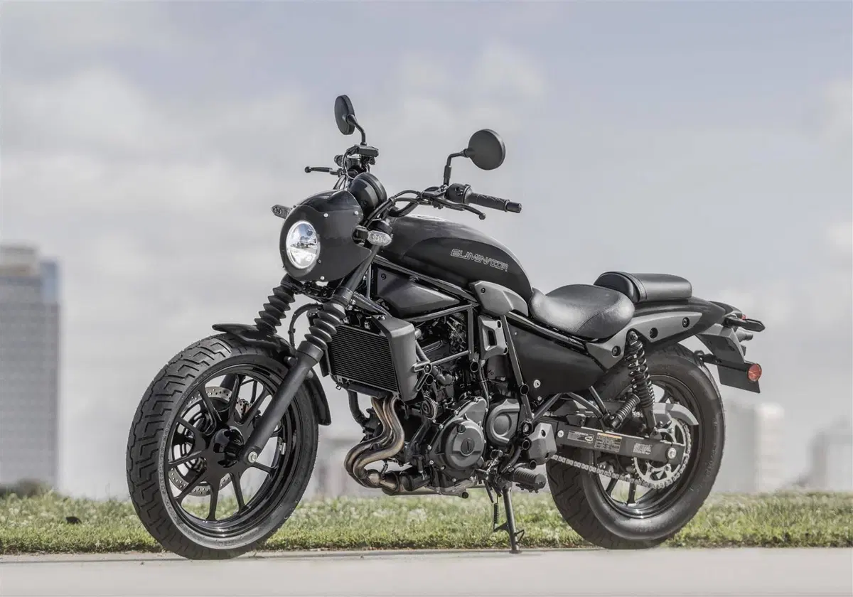 Kawasaki Eliminator 500 (2024 - 26) (5)
