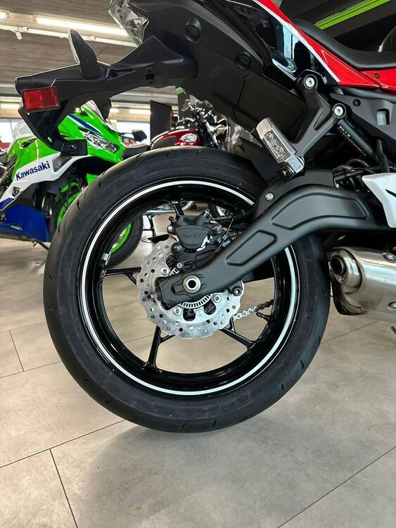 Kawasaki Ninja 650 40th Anniversary Edition (2024) (4)