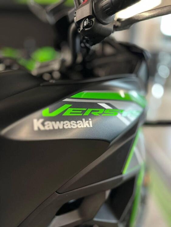 Kawasaki Versys 650 (2021 - 24) (3)
