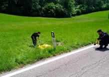 Belluno, perse la vita in moto perché un cervo gli tagliò la strada: la Regione risarcirà la famiglia