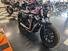 Harley-Davidson 1200 Forty-Eight (2016 - 20) (8)