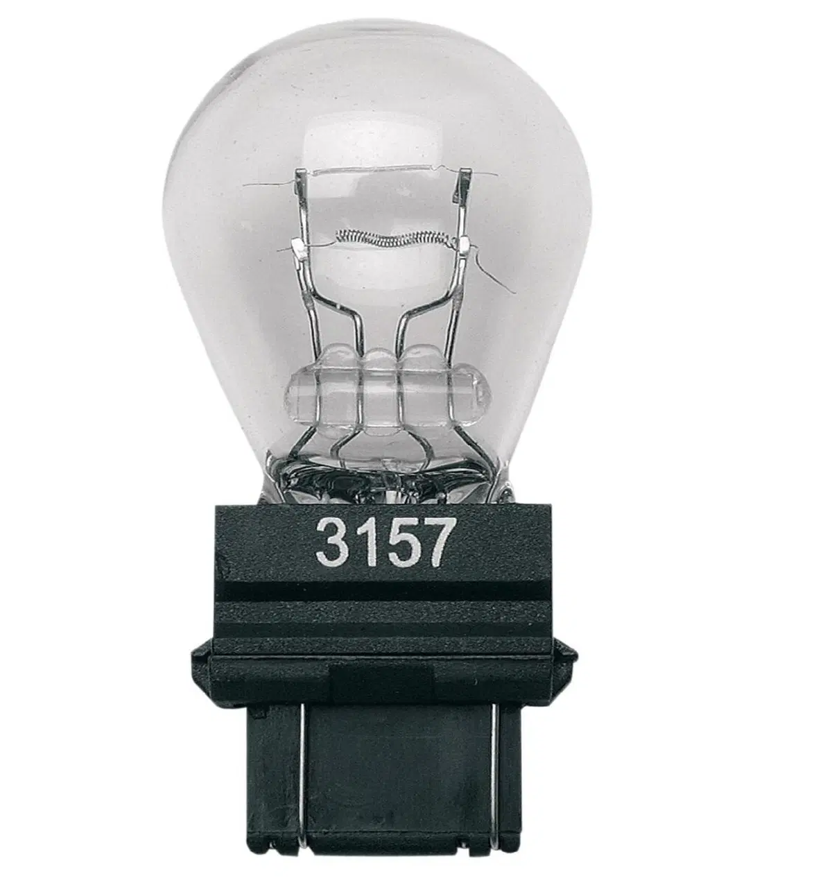 Lampadina posteriore BIANCA faro e stop 12V attacc 