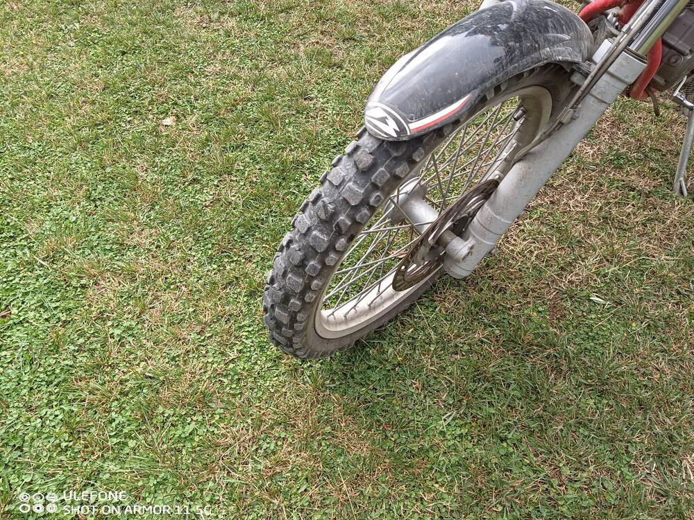 Betamotor Alp 4.0 (2018 - 20)