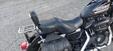 Harley-Davidson 883 R (2008 - 16) - XL 883R (6)