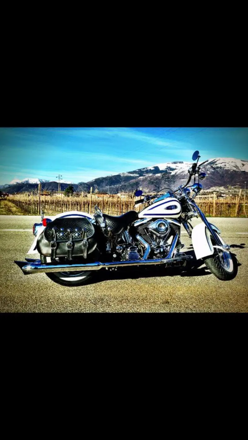 Harley-Davidson 1340 Heritage Springer (1997 - 99) - FLSTS (2)