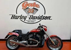 Harley-Davidson 1130 Night Rod (2006 - 07) - VRSCD usata
