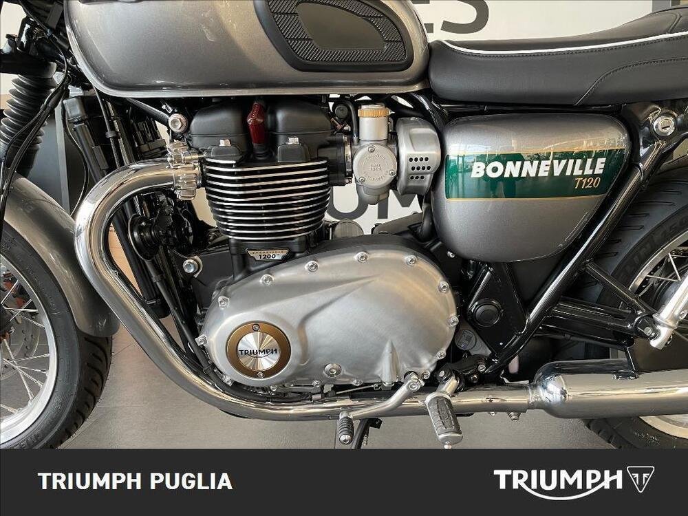 Triumph Bonneville T120 Gold Line Edition (2022 - 23) (2)