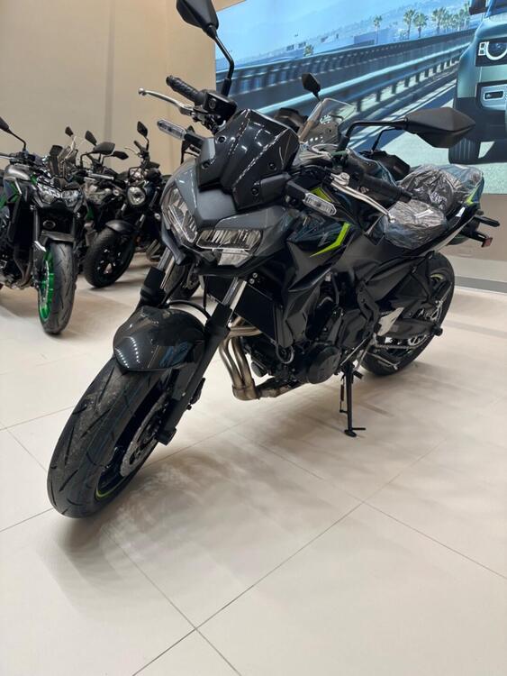 Kawasaki Z 650 (2021 - 24)