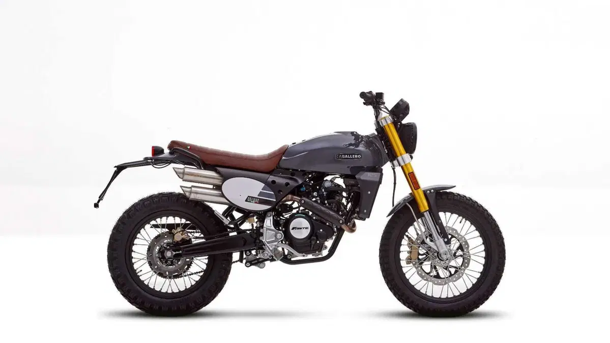 Fantic Motor Caballero 125 Caballero 125 Scrambler Deluxe (2024) (2)