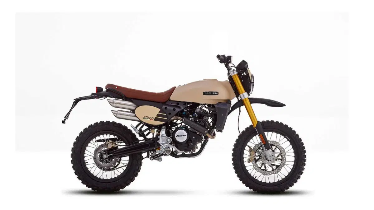 Fantic Motor Caballero 125 Caballero 125 Rally (2024) (2)