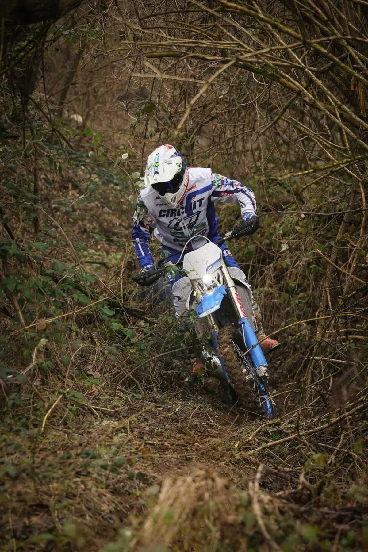 Moto a 2 o 4 TEMPI per fare ENDURO? PROVA TM 300 2T e 450 4T in pista e nel bosco. Quante SORPRESE [VIDEO E GALLERY] (67)