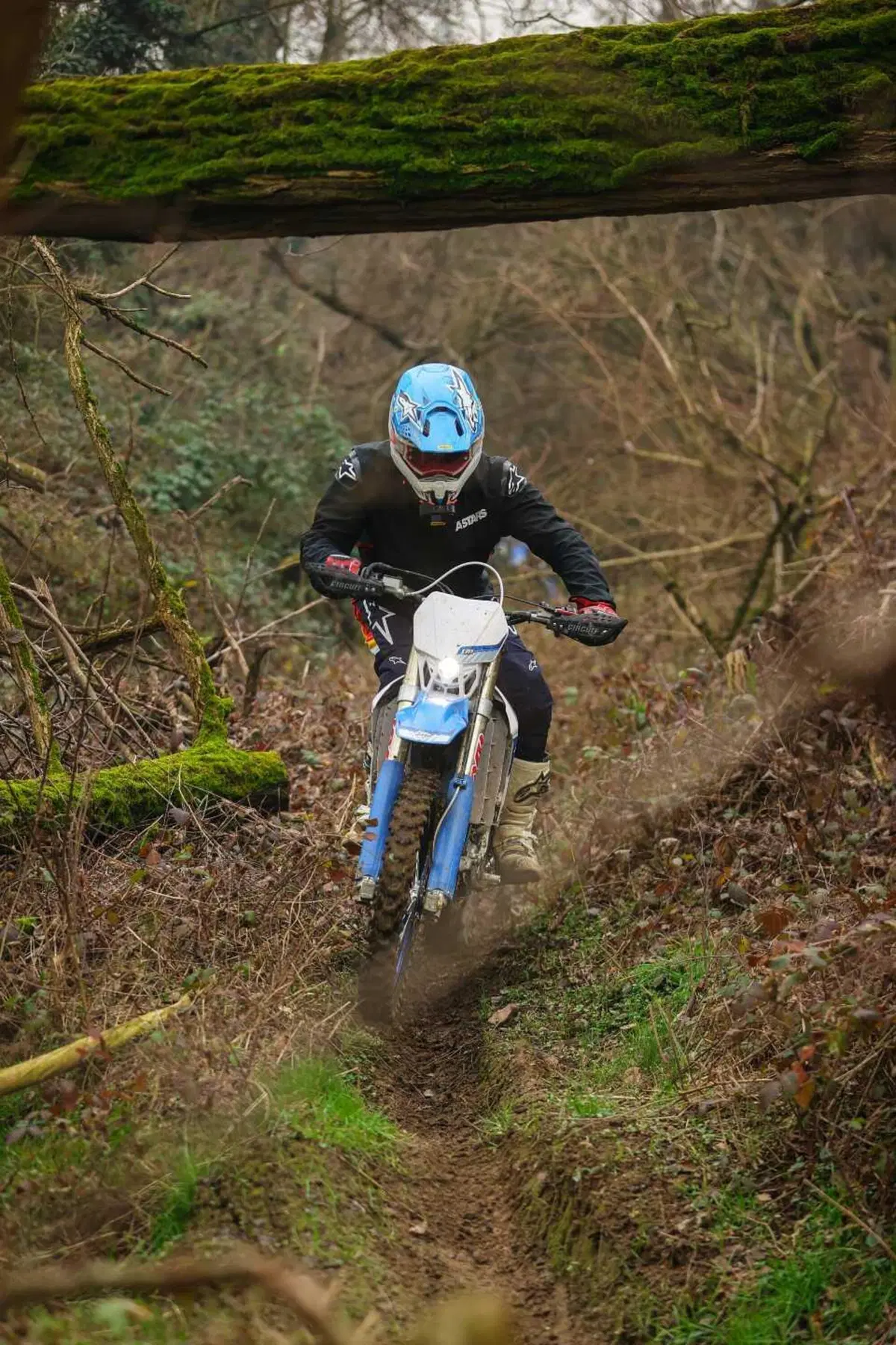 Moto a 2 o 4 TEMPI per fare ENDURO? PROVA TM 300 2T e 450 4T in pista e nel bosco. Quante SORPRESE [VIDEO E GALLERY] (72)