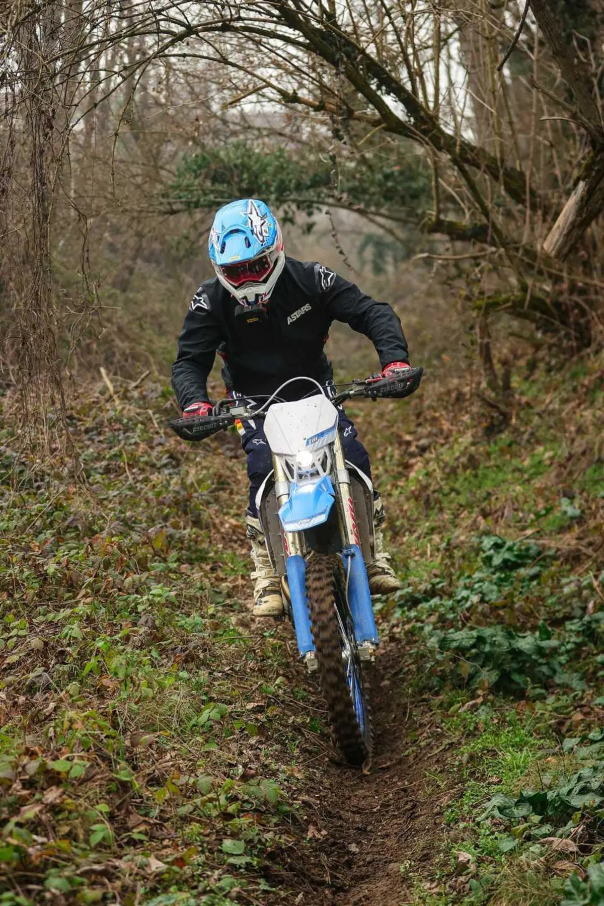 Moto a 2 o 4 TEMPI per fare ENDURO? PROVA TM 300 2T e 450 4T in pista e nel bosco. Quante SORPRESE [VIDEO E GALLERY] (73)