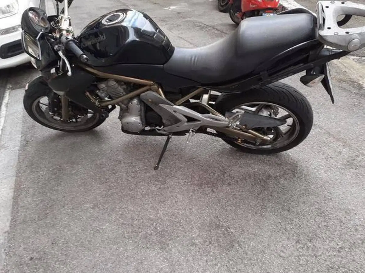 Kawasaki ER-6N (2005 - 08) (4)