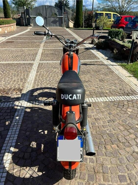 Ducati Scrambler (3)