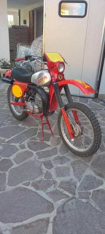 Betamotor 250 GS (2)