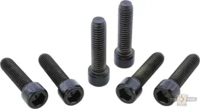 Kit viti forcella anteriore nere lucide per Softai 