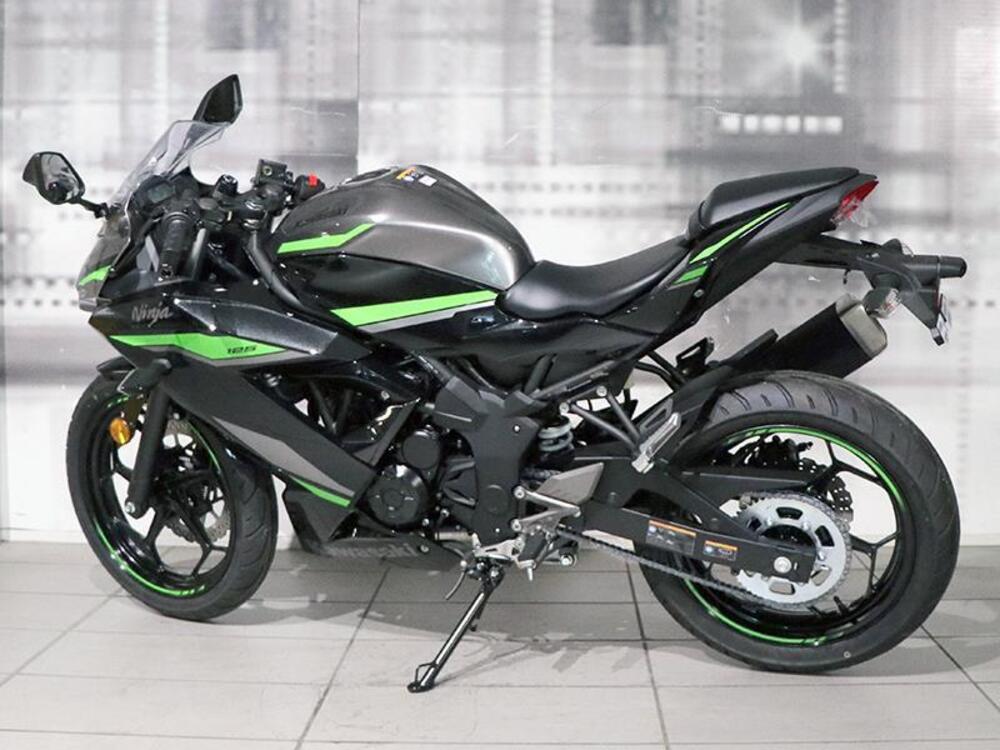 Kawasaki Ninja 125 (2021 - 24) (2)