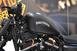 Harley-Davidson 883 Iron (2012 - 14) - XL 883N (9)