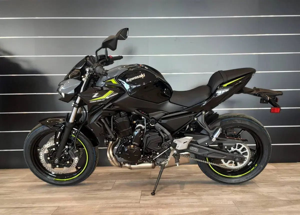 Kawasaki Z 650 (2025 - 26) (8)
