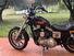 Harley-Davidson XL1200 Sportster  (9)