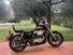 Harley-Davidson XL1200 Sportster  (12)