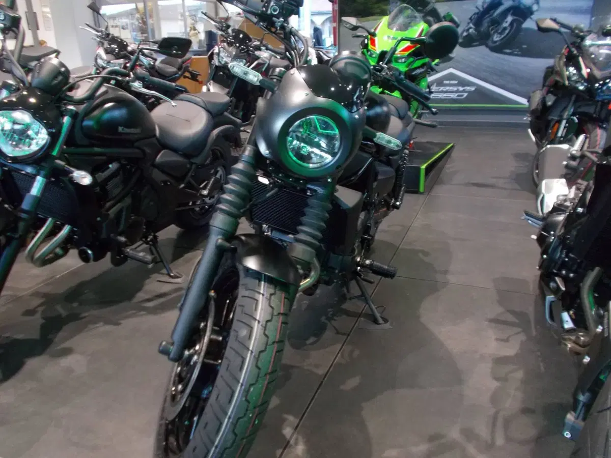 Kawasaki Eliminator 500 SE (2024 - 26) (3)