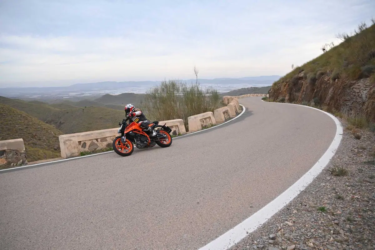 KTM Duke 390 (3)
