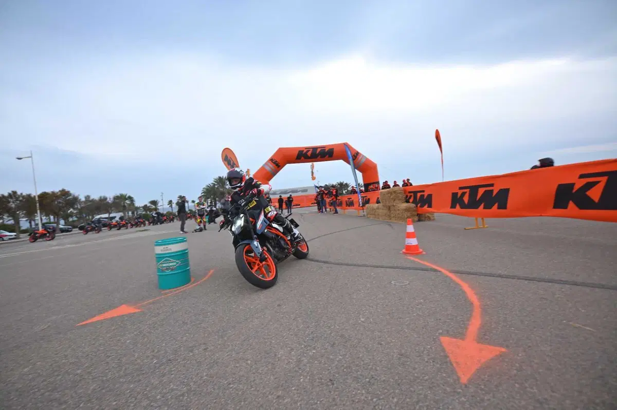 KTM Duke 390 (5)